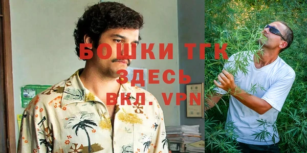 дурь Лагань