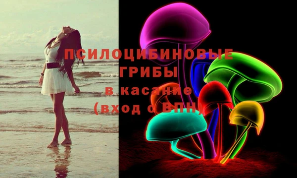 дурь Лагань